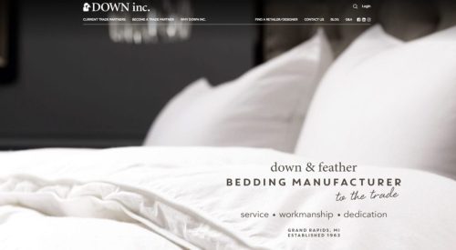 Down Inc in Grand Rapids MI Featured